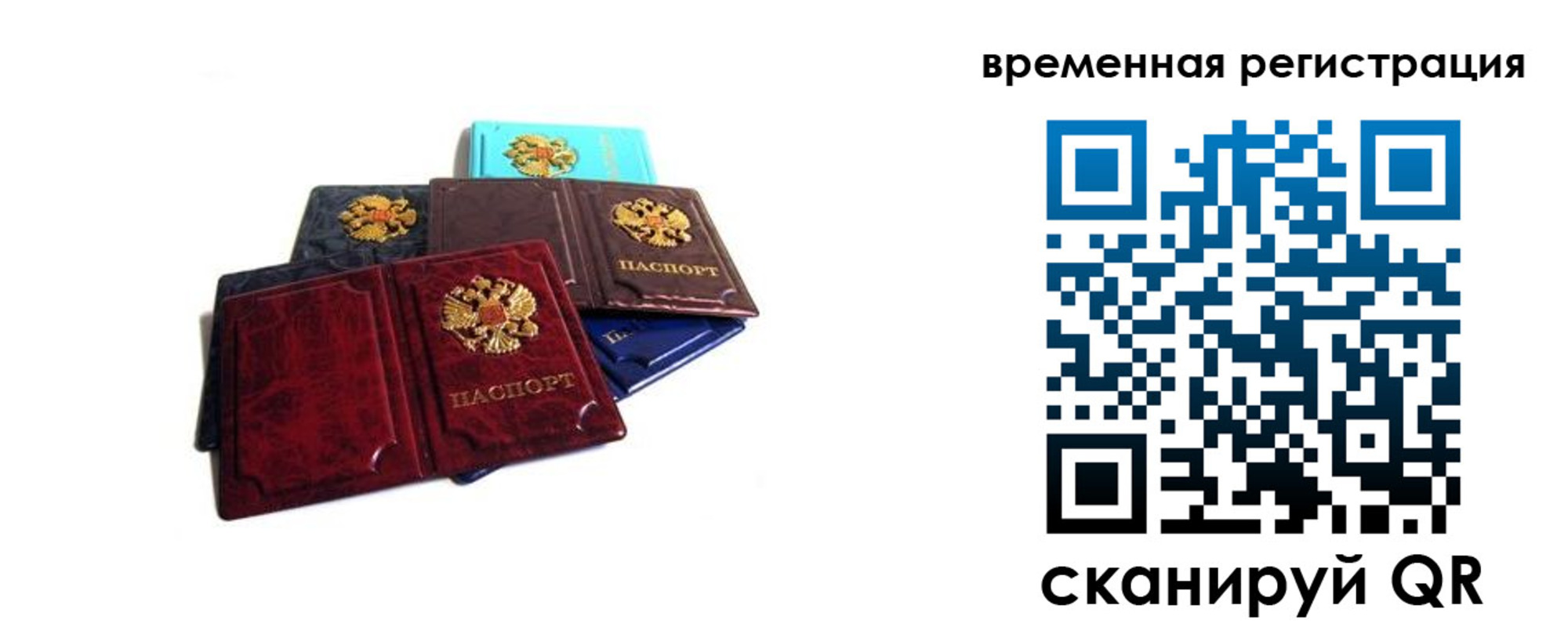 прописка гарантия в Кургане